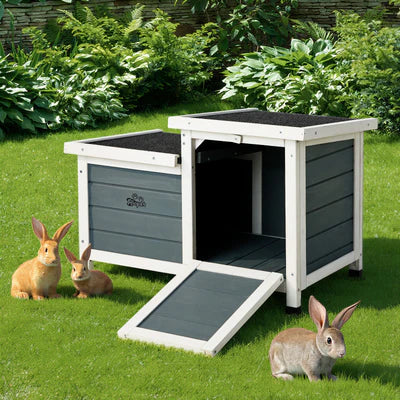 PET-HUTCH-2B-GY