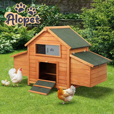 PET-HUTCH-2H-WD-AB