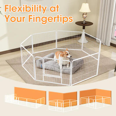 PET1006-24-WH