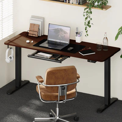 SD-LEG-M1-BK+DB-16-WN+DB-DRAW-PLS-BK Oikiture 160cm Standing Desk With Drawer Motorized Adjustable Office Table Black