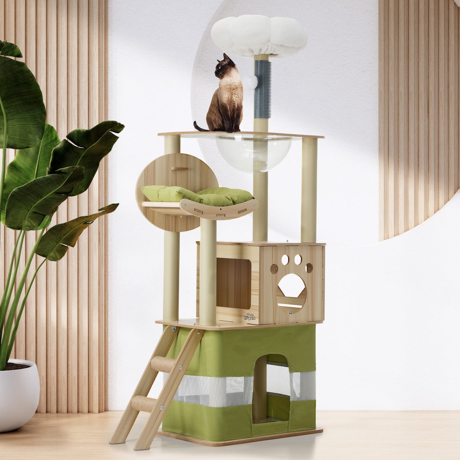 Cat Trees & Scratching Posts