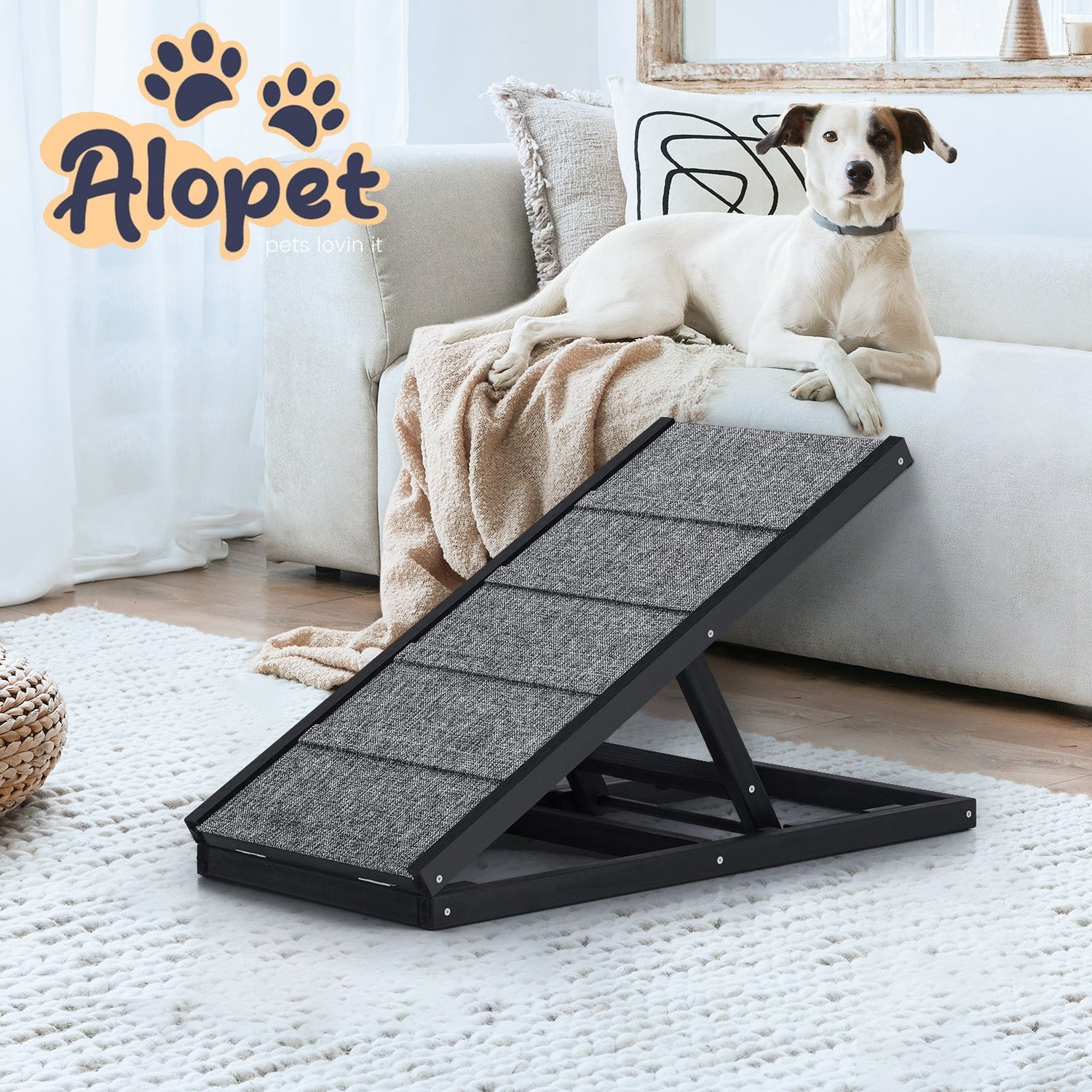 Pet Ramps & Stairs