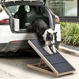 PET-RAMP-M-WD