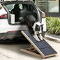 PET-RAMP-M-WD