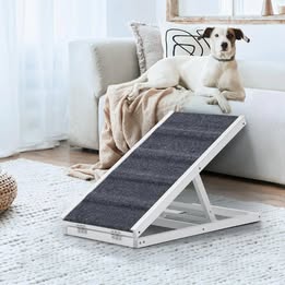 PET-RAMP-M-WH