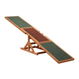 PET-SEESAW-WD