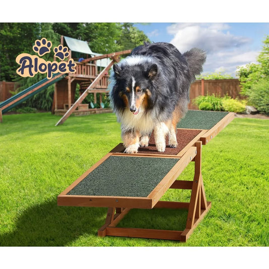 PET-SEESAW-WD