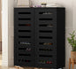 SS-AND-D2-BK Basma 2 Door Black Shoe Cabinet Living Fusion Kendra 2 Door Shoe Cabinet