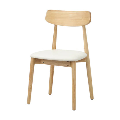 DCH-RUB-WDBG-2PC