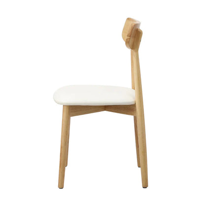 DCH-RUB-WDBG-2PC