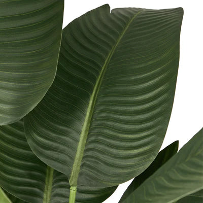 FP-A10-TP-180 Livsip 180cm Artificial Bird of Paradise Plant Fake Palm Tree Home Garden Decor