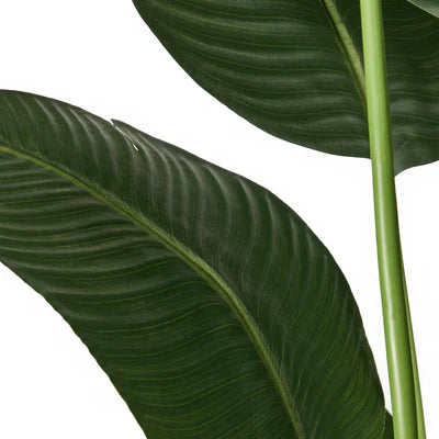 FP-A10-TP-180 Livsip 180cm Artificial Bird of Paradise Plant Fake Palm Tree Home Garden Decor