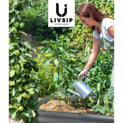 GB-45-16080-GY-2PC Livsip Garden Bed Kits Raised Instant Planter 320x80x45CM Galvanised Steel