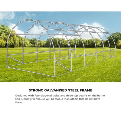 GH-T-6-3-AB Livsip Greenhouse 6MX3M Walk in Green House Tunnel Plant Garden Shed Storage