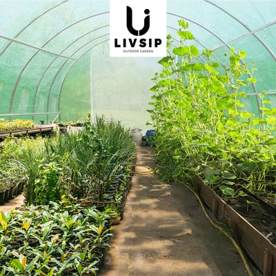 GH-T-6-3-AB Livsip Greenhouse 6MX3M Walk in Green House Tunnel Plant Garden Shed Storage