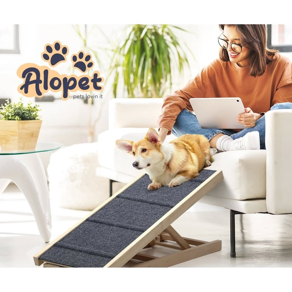 PET-RAMP-L-WD
