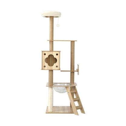 CTR-W-B6-BC-BG-165