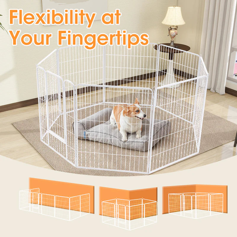PET1006-40-WH