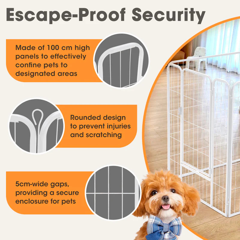 PET1006-40-WH