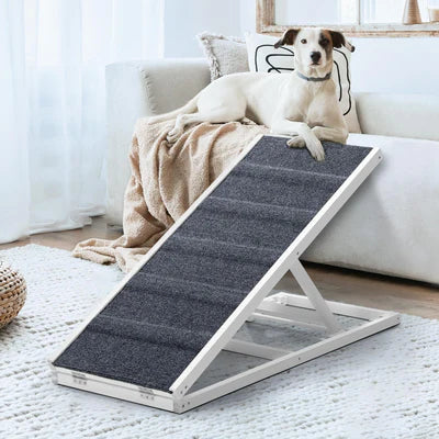 PET-RAMP-L-WH
